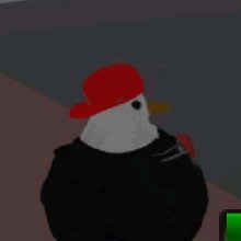 Guest_Ru4nBD