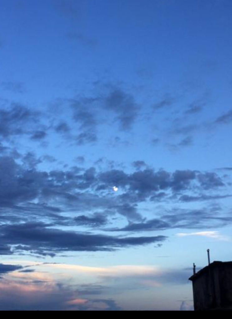 Guest_kiara539525