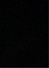 Guest_maddie418943
