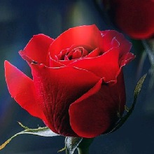 Guest_DiAbLiTaAzUL1