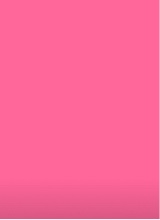 Guest_ariana275286