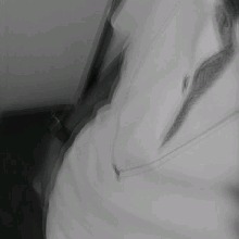Guest_Soneca26