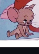 Guest_sadBee1
