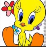 Guest_ava284268