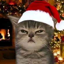 Guest_MaryC4T