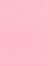 Guest_Valentine45014