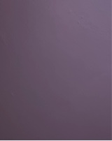Guest_kennedii14