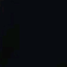 Guest_Ssean1
