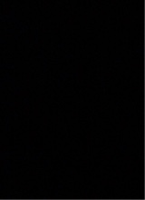 Guest_Alex192074