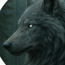 Guest_RokkanLeKhajiit