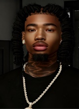 BloodhoundQuan1