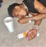 BloodhoundQuan1
