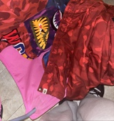 Guest_scorchers