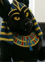 صورة الـavatar