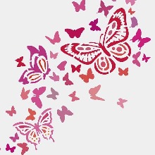 Guest_MayLuu