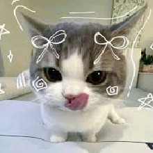 OESR