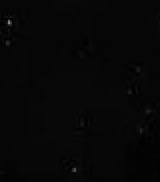 Guest_Orange960138