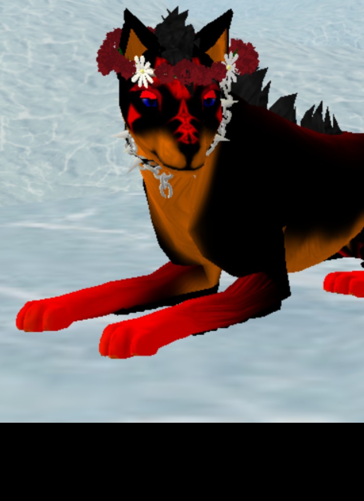 wolf876808
