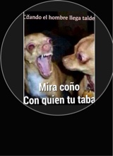 Guest_JenniferFigueroa