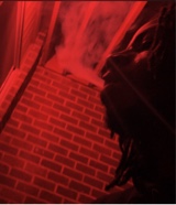 Guest_Moe777376