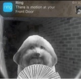 Guest_CallMeRedd