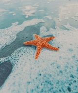 Guest_Jasmine132894