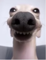 GabianaLuv