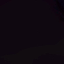 Guest_Ruivsp