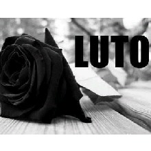 foto del avatar