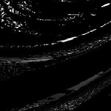 Guest_Livie191706