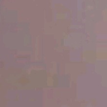Guest_Missbee