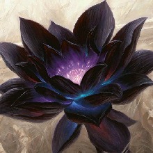 BlackLotus3