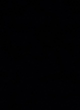 Guest_shaquan192