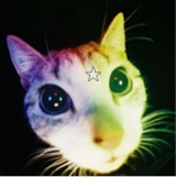 Guest_guttercxt
