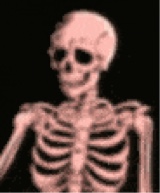 immagine avatar