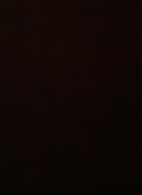 Guest_Babygirl810568