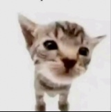 Guest_notanoob4