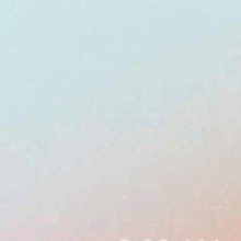 Guest_LiNay8