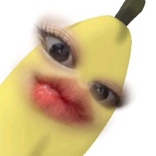 RIC3L