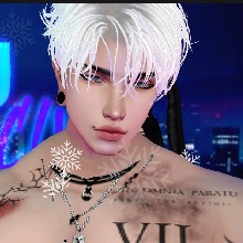 avatarbild
