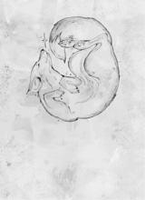 Guest_aela10