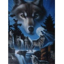 wuitewolf
