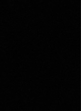 صورة الـavatar