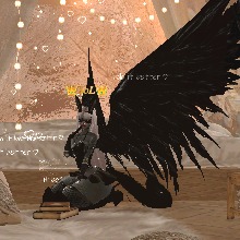 Guest_Sol522776