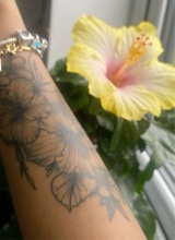 Guest_Alexis713930