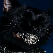 Guest_OsielFernndez
