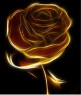 Guest_yasi50