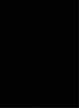 immagine avatar