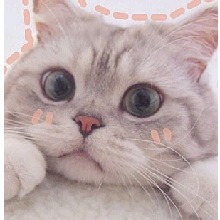 Guest_NguynTrn5