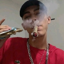Guest_JOVEMDEX727708